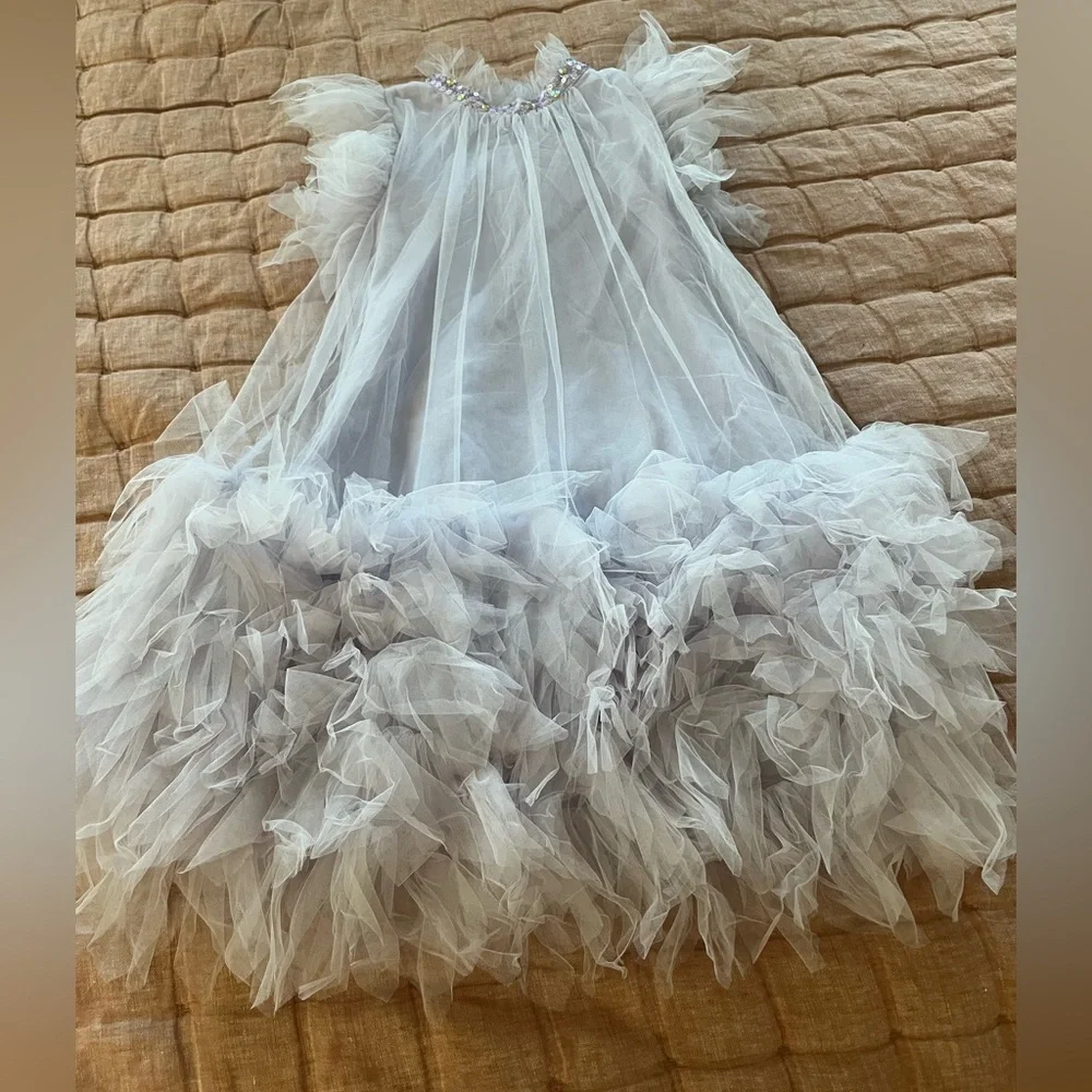 Tutu Du Monde Cannes Tulle Dress size 12 - Picture 4 of 6